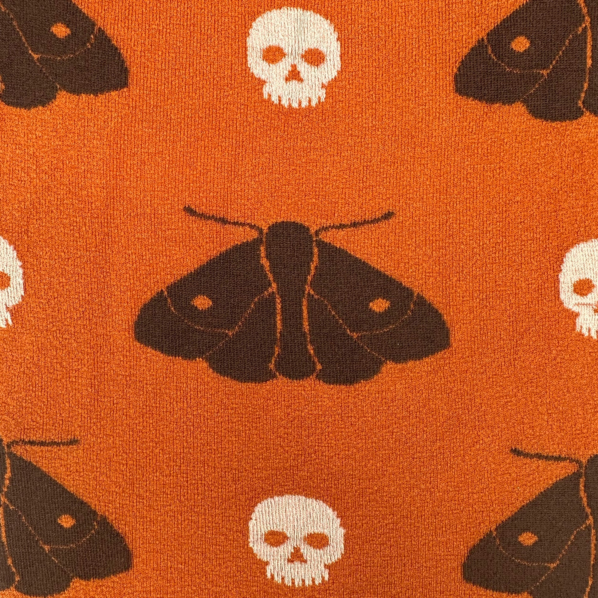 Mariposa Cabeça da Morte